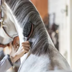 Brosse a crins double - Sprenger