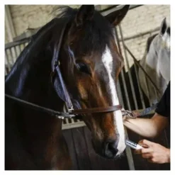 Calmant en seringue Instant Magic  - NAF