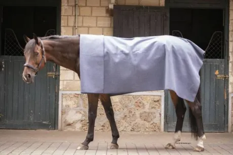 Carré Wooltouch Paddock Sport (2 coloris)