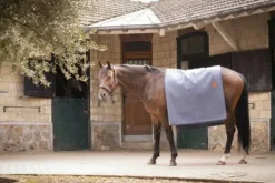 Carré Wooltouch Paddock Sport (2 coloris)