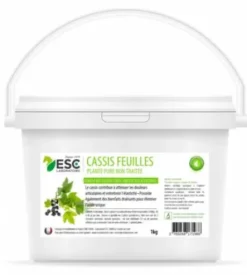Cassis Feuilles - Articulation - ESC laboratoire