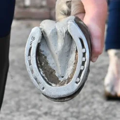 Cataplasme d'argile pour fourchettes Natural'Must - Natural'Innov