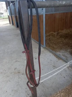 Cause double emploi vends rênes