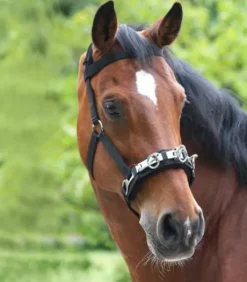 Caveçon nylon Waldhausen