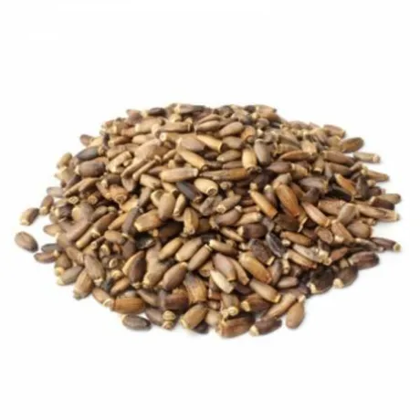 Chardon Marie - 1Kg - Horse Remedy