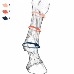 Chaussettes de compression EQUI Compress - Stubben