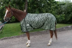 Chemise anti-mouches zébré JMR