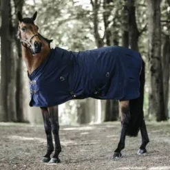 Chemise coton - Kentucky