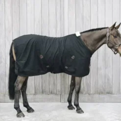 Chemise coton - Kentucky