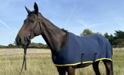 Chemise coton bio - Herbb Classique Multi Pack 2