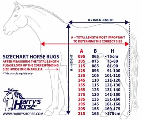 Chemise coton Harrys horse