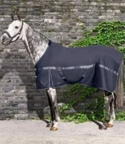 Chemise coton Reynosa Equiline