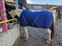 Chemise de box Horseware Rambo