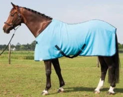 Chemise polaire Harry's horse