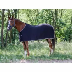 Chemise polaire RIDING WORLD - Basique - 240 g/m²