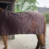 Chemise pour cheval