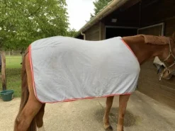 Chemise pour cheval