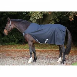 Chemise pour Marcheur Amigo - Horseware