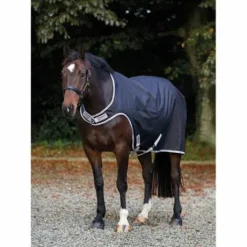 Chemise pour Marcheur Amigo - Horseware