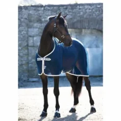 Chemise Séchante Amigo Net Cooler - Horseware