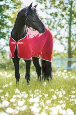 Chemise séchante Amigo net cooler - Horseware - polyester