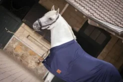 Chemise séchante Paddock Sports avec sangle invisible