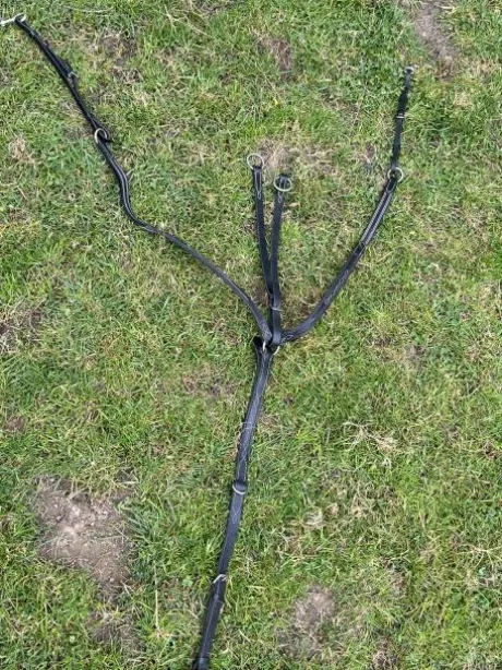 Collier de chasse + martingale