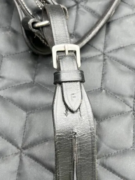 Collier de chasse + martingale