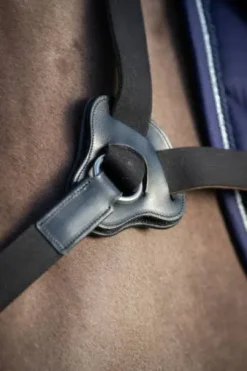 Collier de chasse 5 points HFI