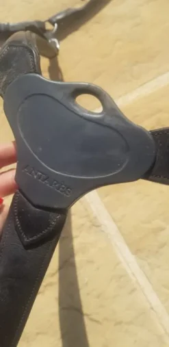 Collier de chasse Antares