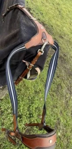 Collier de chasse Antares