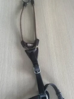 Collier de chasse avec martingale