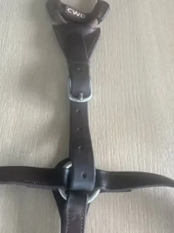 Collier de chasse avec martingale