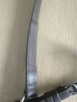 Collier de chasse avec martingale