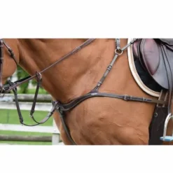 Collier de chasse cinq points et martingale - Jump'In