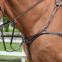 Collier de chasse cinq points et martingale - Jump'in
