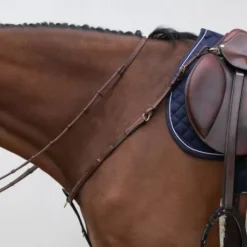 Collier de chasse classique HVM - Stabilité