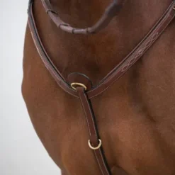 Collier de chasse classique HVM - Stabilité