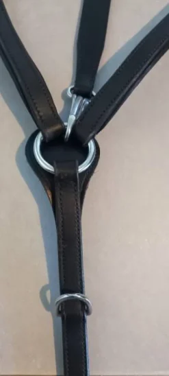 Collier de chasse cuir + martingale amovible