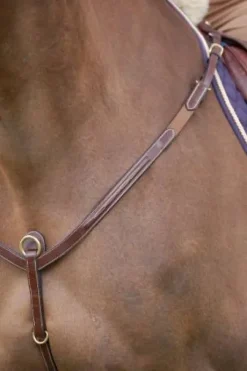 Collier de chasse cuir  fancy Dy'on collection