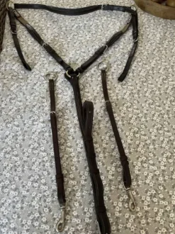 Collier de chasse cwd poney