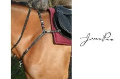 Collier de chasse en cuir, JMR Pro