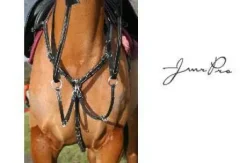 Collier de chasse en cuir, JMR Pro