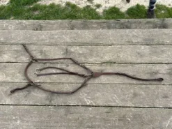 Collier de chasse (5points)