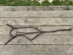 Collier de chasse (5points)