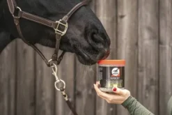 Complément alimentaire bronches Hamba Vet - LEOVET