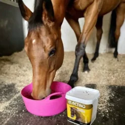 Complément alimentaire électrolytes Electro Salts - NAF