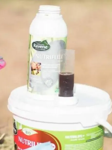 Complément articulation Nutriflex - Laboratoire Ravene