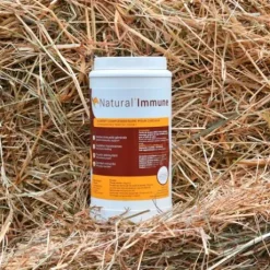 Complément pour l'immunité Natural'Immune - Natural'Innov