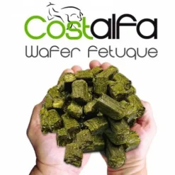 Costalfa Wafer Fetuque 20 kgs